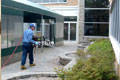 Commercial Pest Control