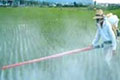 Herbal Pesticides